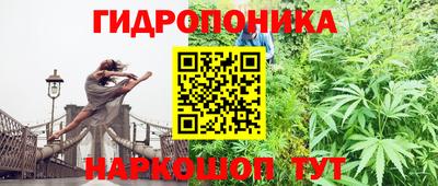 apvp Донецк