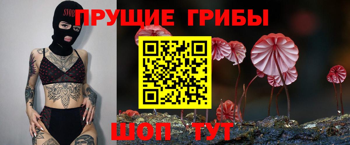 Псилоцибиновые грибы мухоморы Минусинск