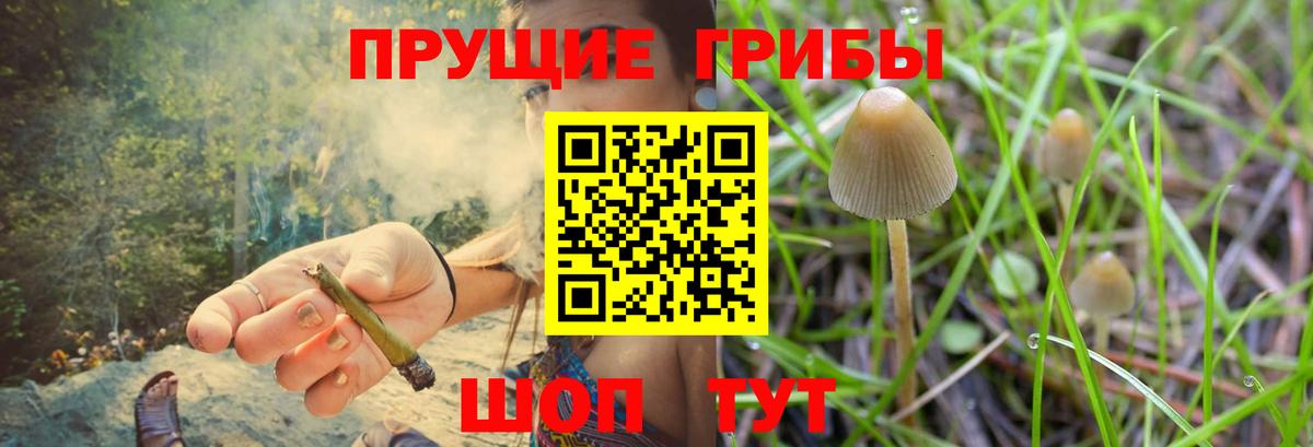 Минусинск  Псилоцибиновые грибы Cubensis  Вход с VPN  Галлюциногенные грибы мухоморы 